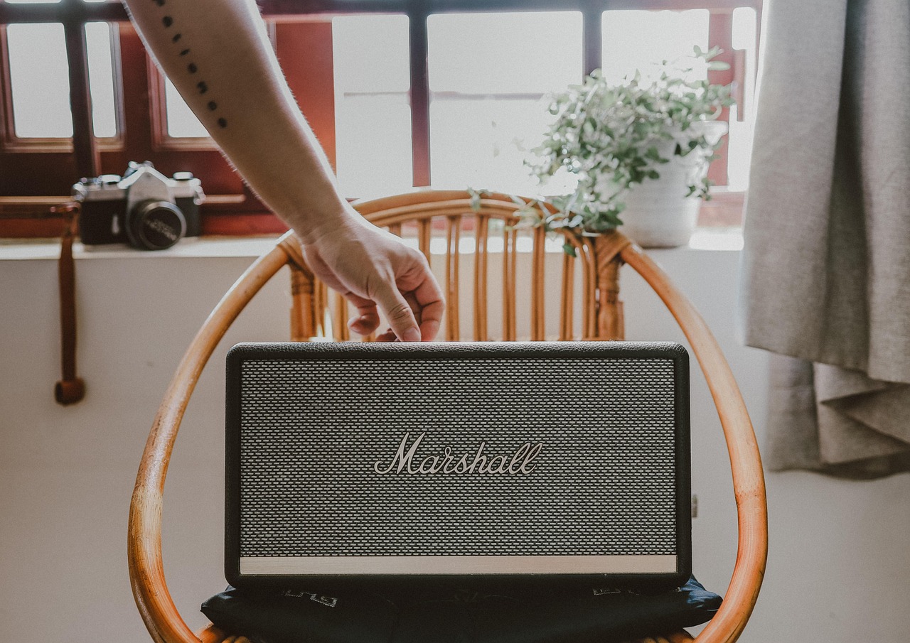 speaker