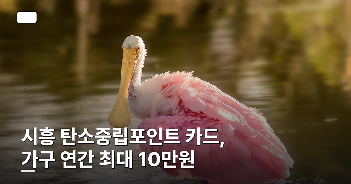 시흥 탄소중립포인트 카드, 가구 연간 최대 10만원